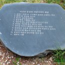 박신 이미지