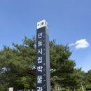안동 시립박물관 무료 관람후기 ,놀이터, 월영교 산책, 월영점빵