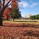 미사경정공원 이미지