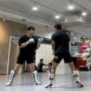 클린치GYM | [MMA] 50회중 34회차 개인 레슨 후기 -오픈핑거 글러브 스파링-