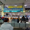 통발체험 Daum카페