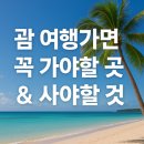 요나약국 | 괌 여행에서 절대 놓치지 말아야 할 것들 – 꼭 가야 할 장소, 사야 할 쇼핑, 해봐야 할 경험