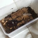 구남농장 이미지