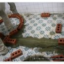 복순이아구찜 이미지