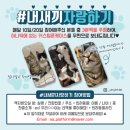 더블에이플랫폼