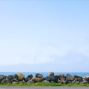 노을담은뜨락 이미지