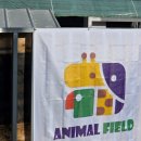 애니멀필드2 | 김천 애니멀필드2 내돈내산 후기 아기랑 만지고 먹이 주는 실내 동물체험장