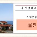 고초령 산양삼 이미지