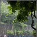 빈하우스 이미지