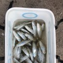 청호동 신수로 이미지