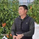 강창민농장 이미지