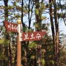 승곡제 Daum카페
