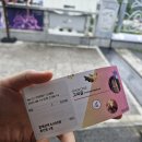 고씨굴 관광지 | [강원도] 영월 가볼만한곳 고씨굴 여름에 시원함 비오는날후기 박쥐못봄