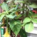 장충경로당 이미지