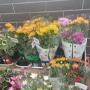 국수나무동림점 이미지