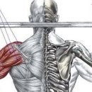 TEMPLE GYM (템플짐) 이미지