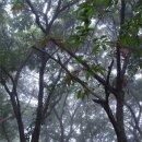 밤나무골 이미지