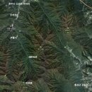 구룡 이미지