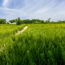 태신목장 이미지