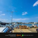호궁회센타 | 경주 감포항 먹거리 : 봄에는 역시 참도다리 회,가자미 물회