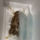 도매숯불갈비 | 돼지갈비맛집 국산 숯불로 구워 맛있는 시그니처박스 쪽갈비 먹어본 후기