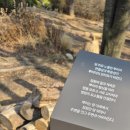 수원-1847 이미지