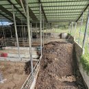 썬 태양광발전소 이미지