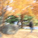 제10강2025.11.11(수)호수공원 출사 이미지