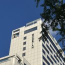 빌리브 인더시티 남산 | 서울 호캉스 이태원 몬드리안 시그니처 시티 킹 15층 뷰 조식