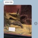 나랑 친구할래 | 5-4. 네? 제가 다다음주 휴가라구요?