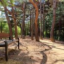 몽마르뜨공원 이미지