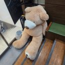 땅땅치킨 감삼점 | 9월 4주차 주말 일상