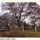 맹2리 이미지