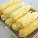 제주 초당옥수수 새시멀농장 상품 또 주문했다!