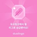 야루키