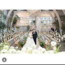 까사 그랑데 센트로 본식 스냅 계약 후기(짝꿍 구함)👰🏻‍♀️