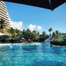 헤스티아 플렉스 | 사이판 여행 출발해 봅시다 1일차