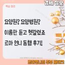 국민요양병원 | 요양원, 요양병원, 양로원 직접 가보니 &#39;이것&#39;이 완전히 달랐어요. 부모님 시설 선택 체크 리스트!