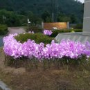 (주)광시스템 이미지