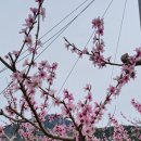 오크빌민박 이미지