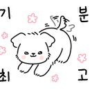 가평모나코애견펜션 이미지