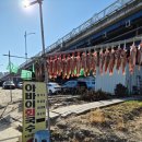 오순네전집 | 2일 겨울 속초여행 [1탄] : 아바이회국수 / 속초대일호방어 / 오순네전집 후기 (+ 속초중앙시장 주차꿀팁)