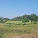 육군 인사사령부 자운대 체력단련장 | 육군체력단련장 ‘예비역 동반자’ 할인혜택