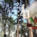 메가한의원 | [내돈내산] 자연과한의원 한약 다이어트 후기 4일차