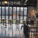 으르렁애견카페 이미지