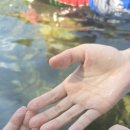 제2 주차장 화장실 이미지