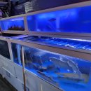 남해도횟집 이미지