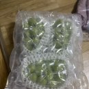 우승농장 | 샤인머스켓 내돈내산 후기 - 아리아리735 농원 / 엘지트윈스 박관우선수네 농장