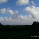 쉬리하우스 이미지