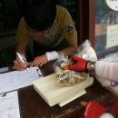 남상초등학교 이미지